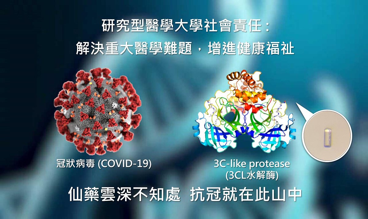 中國醫藥大學暨醫療體系展現抗疫和癌症治療研發成果豐碩 2 中國醫藥大學研發成果亮點
