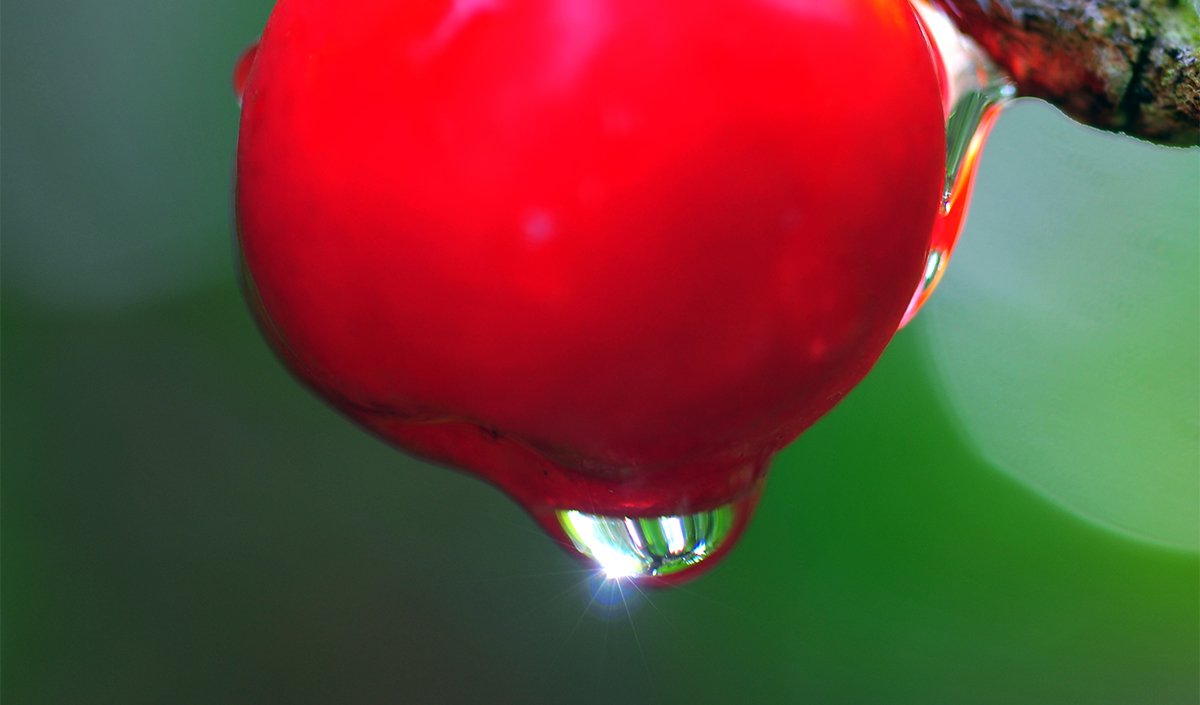 「寒露」，則露水日多，且氣溫更低了。俗話說「一場秋雨一場寒，十場秋雨好穿棉。」，