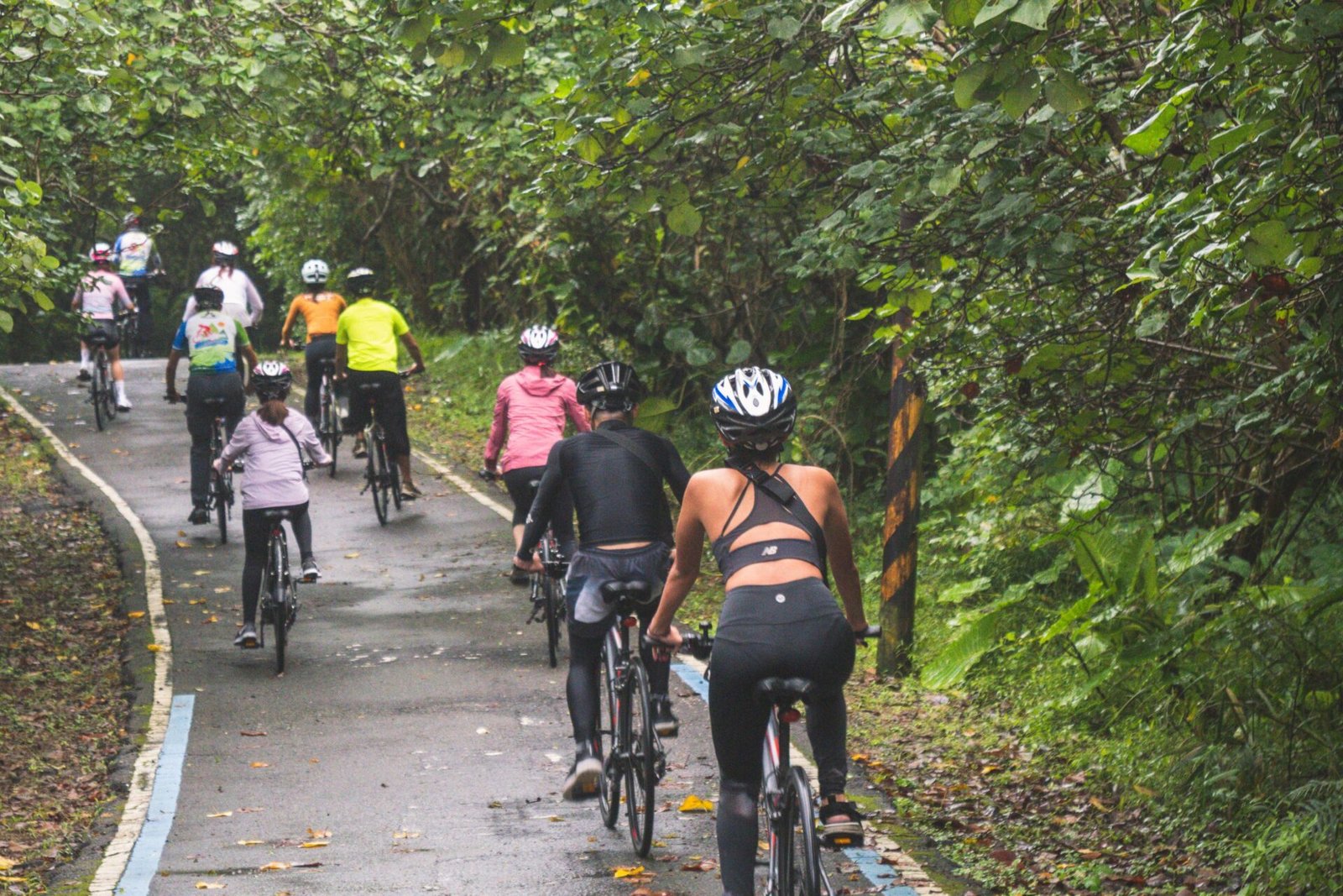 新北市今年結合了步道健行hiking、騎腳踏車biking