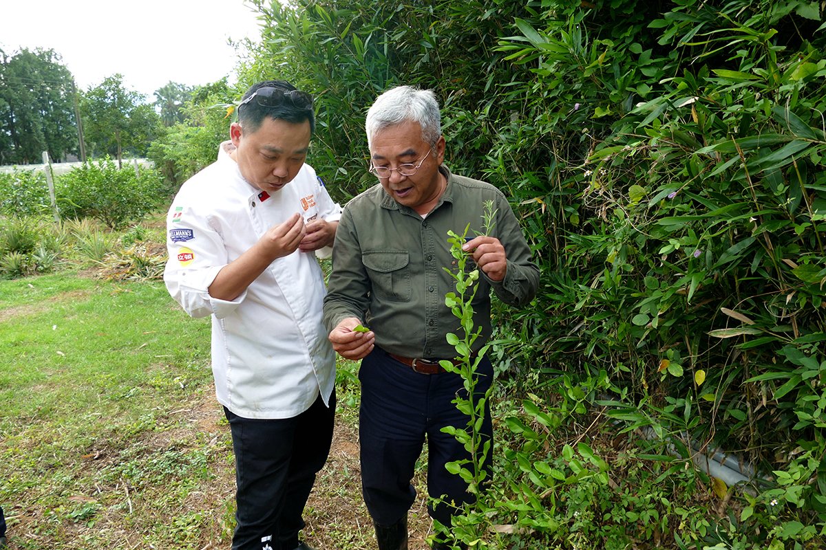 埔里建醮全鎮7天吃素 跟著「蔬食生活地圖」來趟“蔬食”尋味之旅Ⅰ 4 雕之森樹屋餐廳行政主廚劉恆宏(阿宏師)(左)從「產地到餐桌」尋訪在地食材。