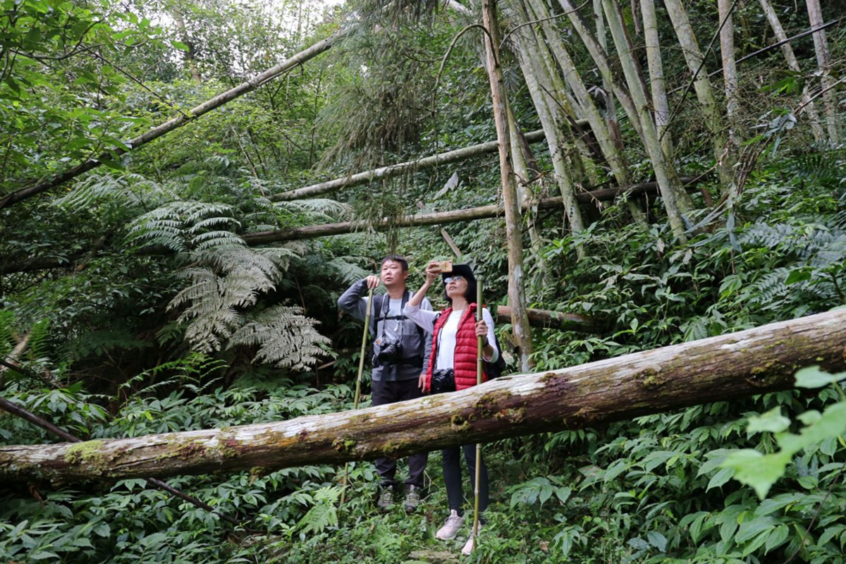 南庄原鄉向天湖、瓦祿、鵝公髻、石壁、鹿場部落森旅行 2 IMG 0808