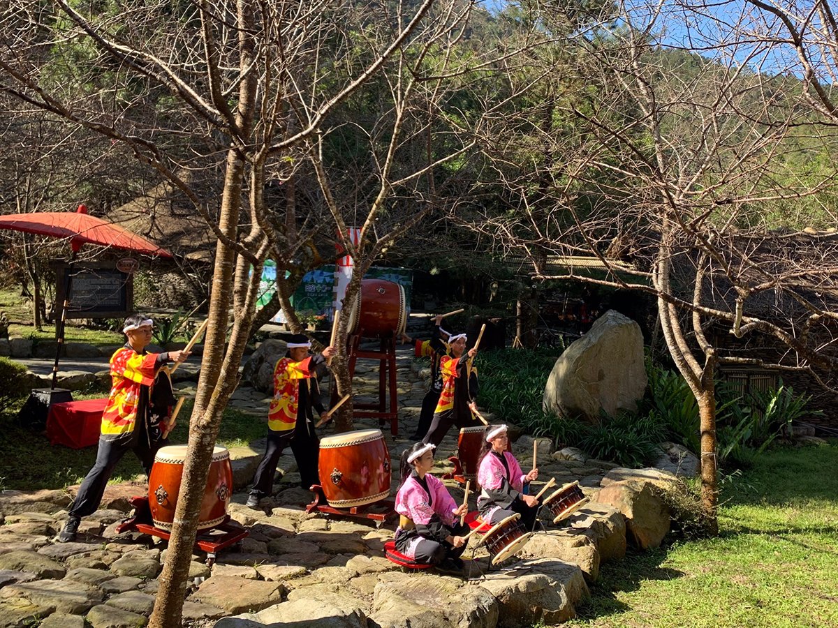 九族文化村精彩的太鼓團隊表演展開序幕，現場並有日月潭茶文化推廣協會在櫻花樹下設置臺灣茶席