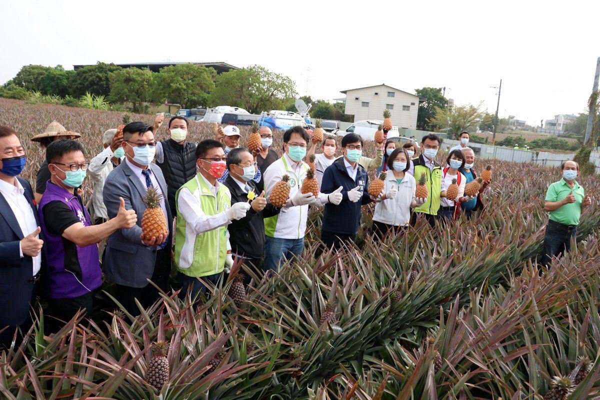 陪同蔡總統訪視大樹區鳳梨農友