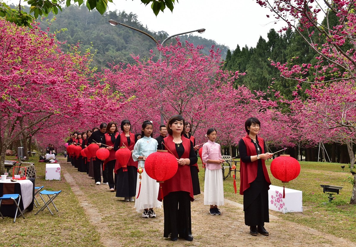 日月潭櫻花季 九族賞花品茶感受滿滿日本風 3 2021.2.27九族 櫻花茶會志遠 210301