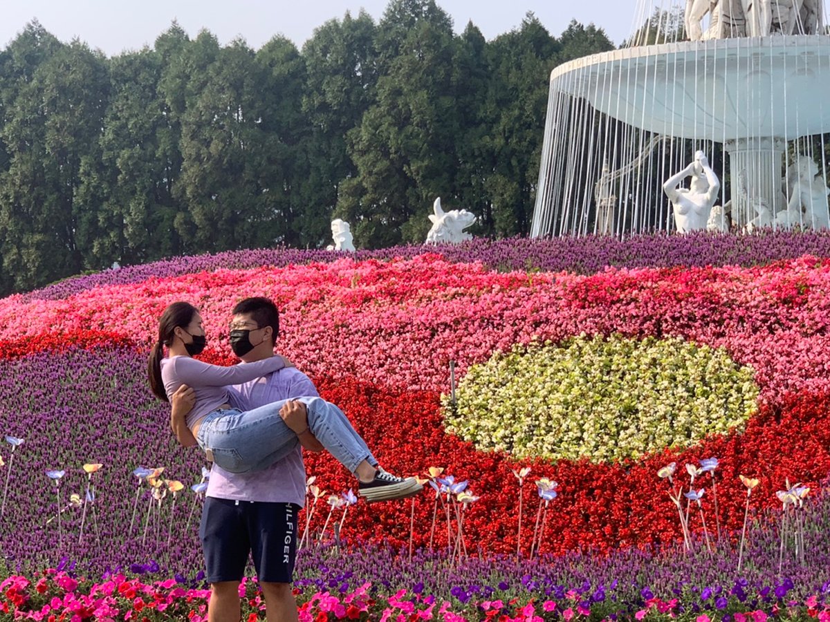 繼九族櫻花祭，九族文化村再創賞花第二波。園區在歐洲花園中打造了全台最大的薰衣草花園