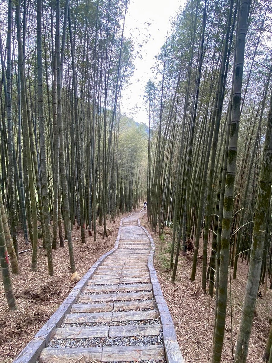 挑竹古道與螢饗宴開幕 逾400位民眾共襄盛會 4 S 68689948