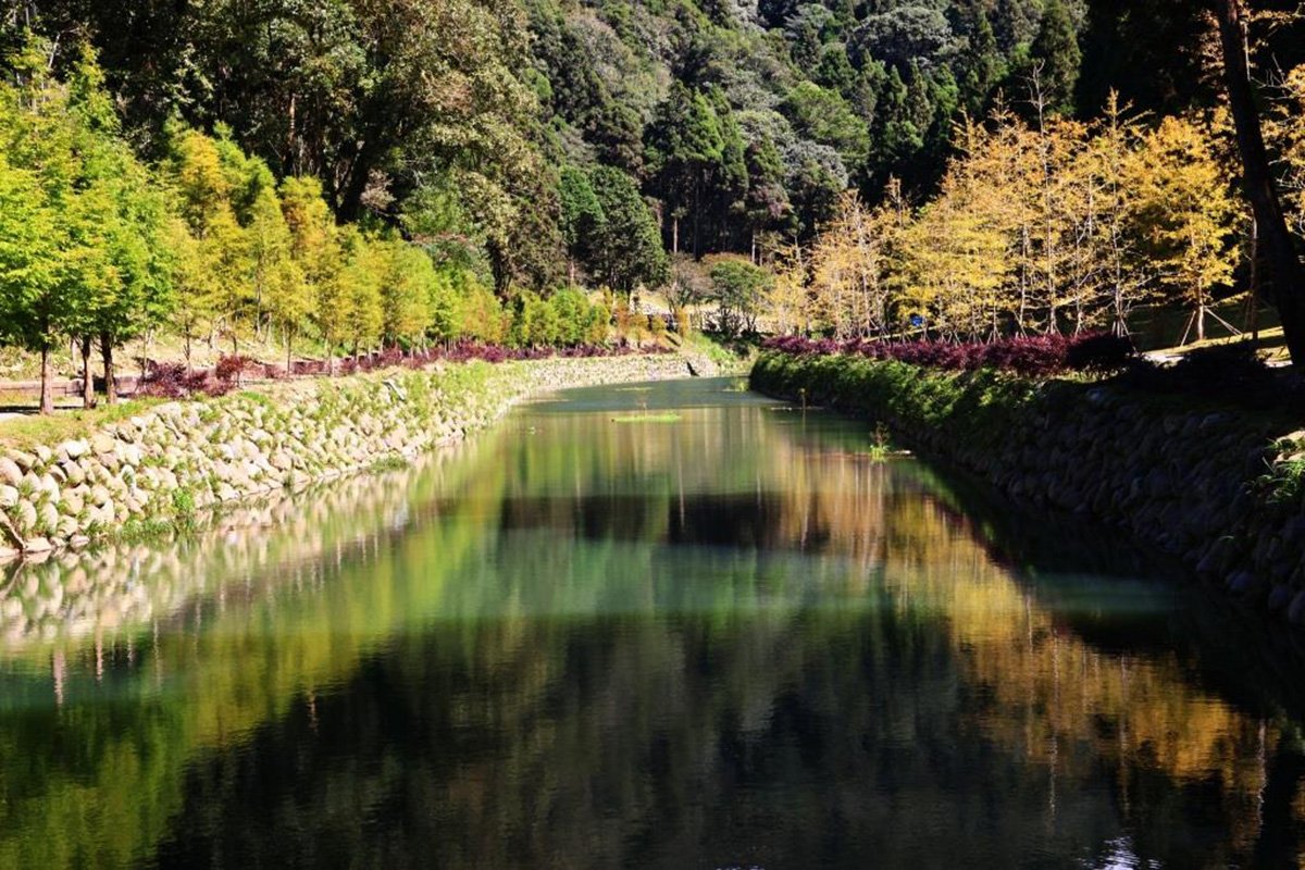 杉林溪楓葉爆紅搶先成為台灣第一個賞楓景區 4 IMG 2220