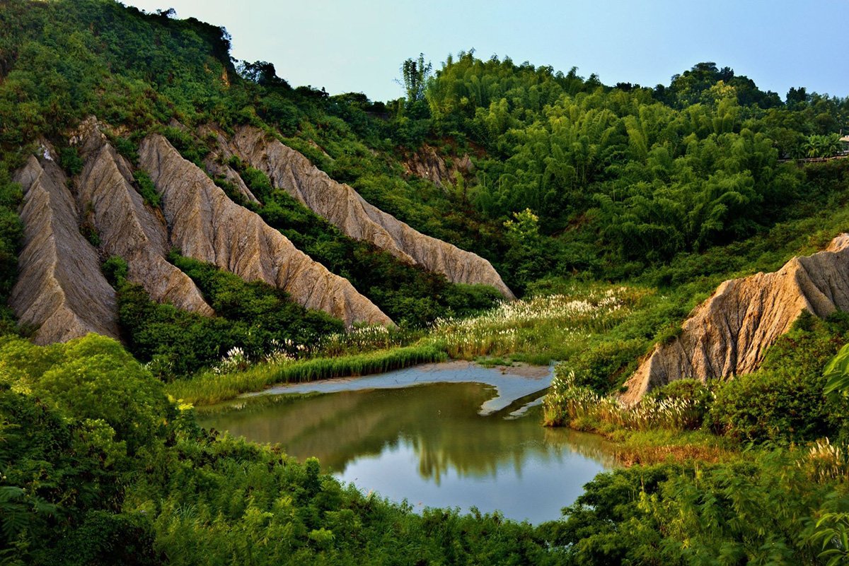 牛埔農塘-南市觀旅局提供