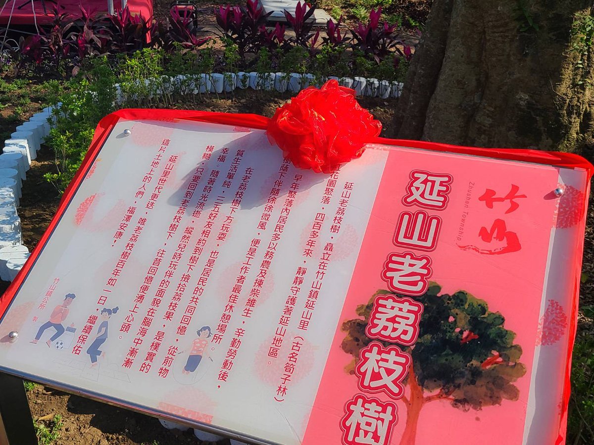 默默守護 延山老荔枝樹四百年來陪伴里民休憩放鬆 3 330794