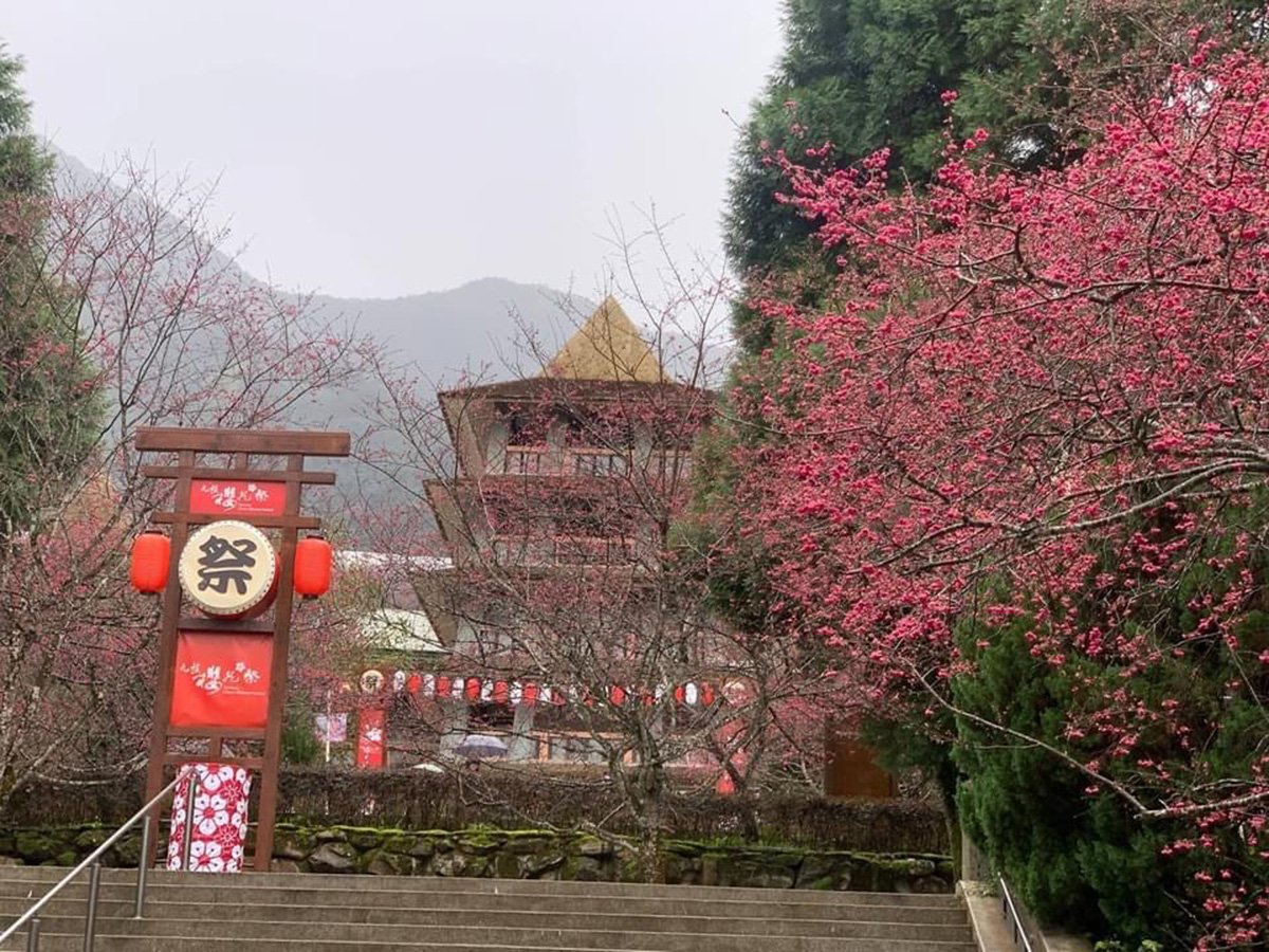 到九族賞櫻、土地公借發財金 體驗春節恭洗發財的儀式感 1 S 92323940