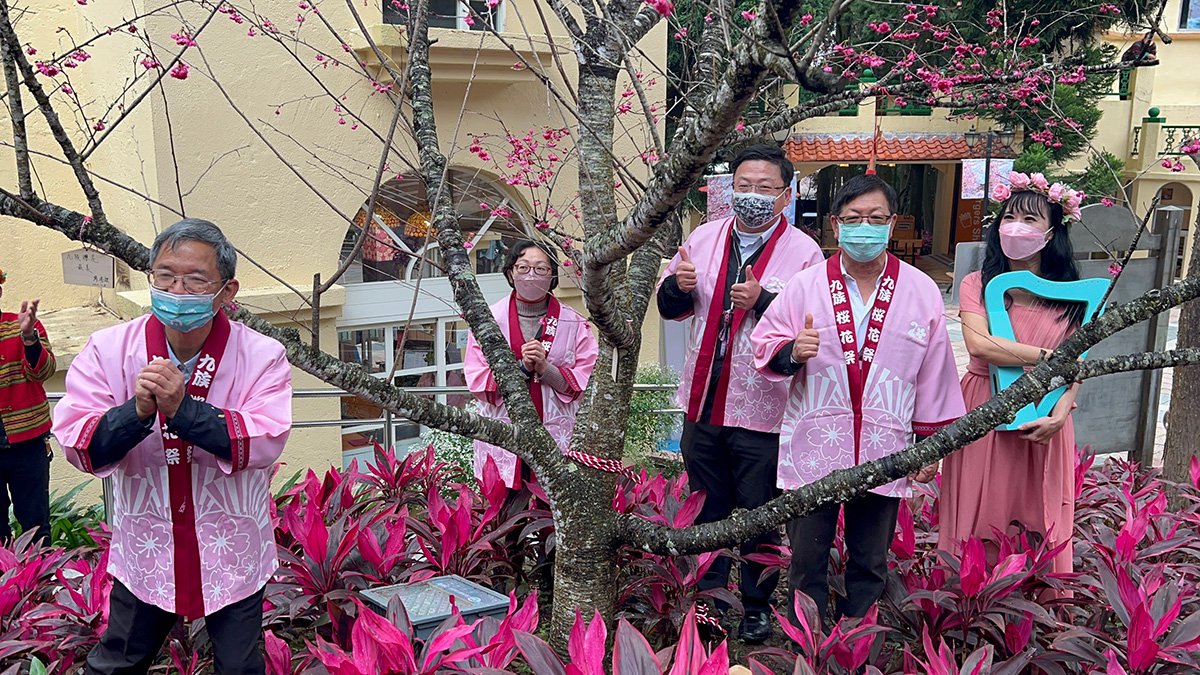 2022九族櫻花祭春節後平安展開 4 S 92422163