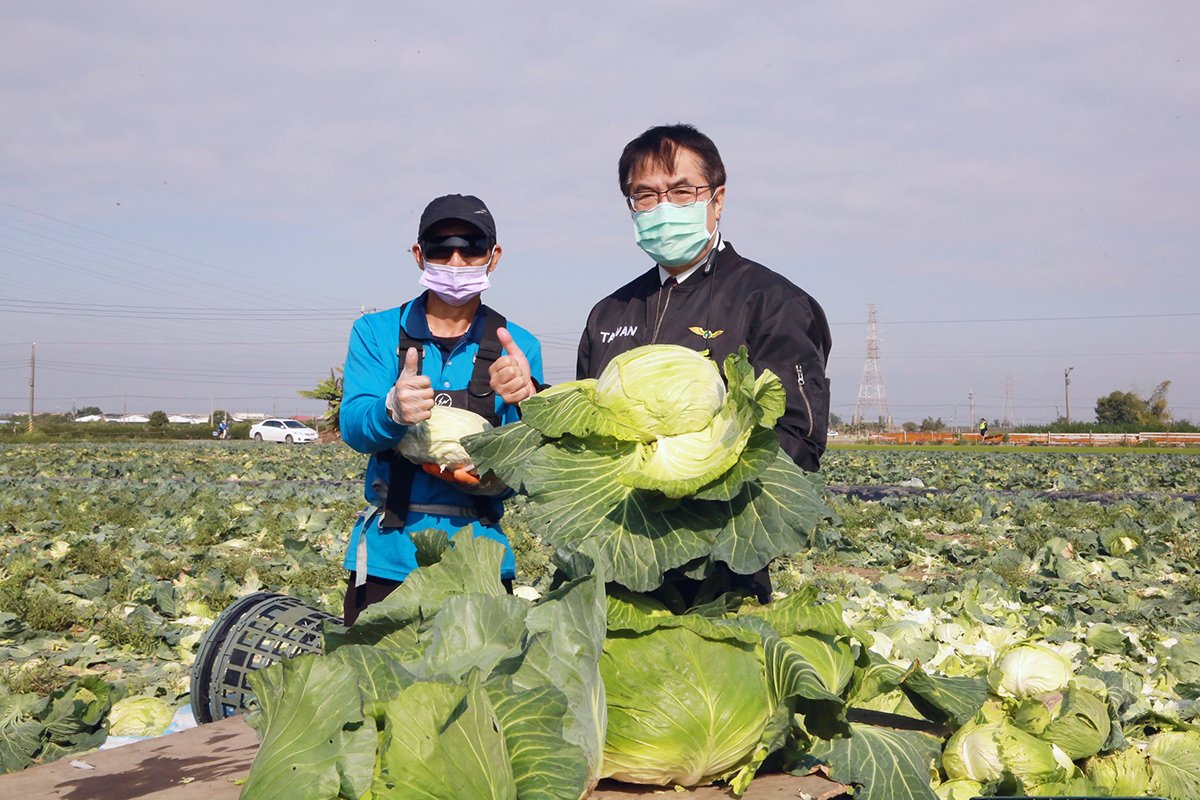 號召用行動挺菜農 黃偉哲邀企業團體認購高麗菜做公益 1 市長號召用行動挺菜農
