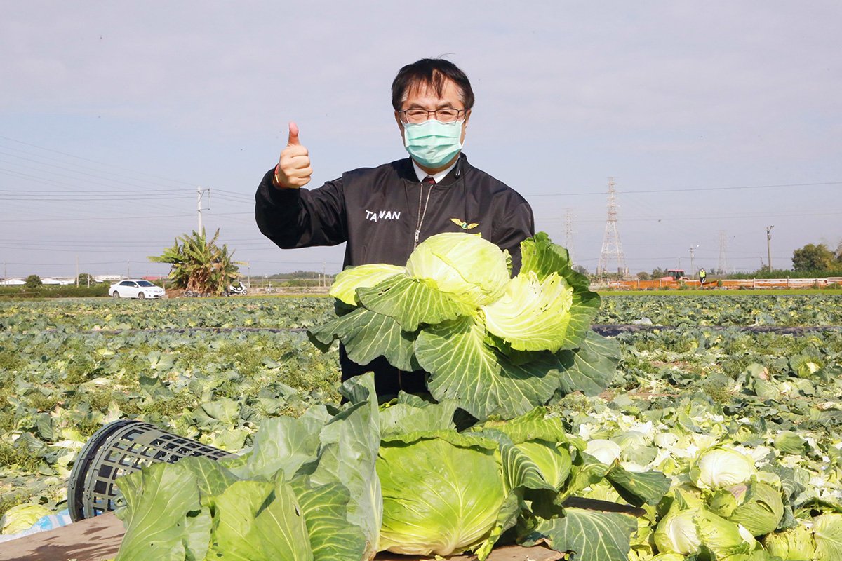 號召用行動挺菜農 黃偉哲邀企業團體認購高麗菜做公益 3 認購的高麗菜將贈給南市照顧弱勢老人、身障及兒少等社褔團體