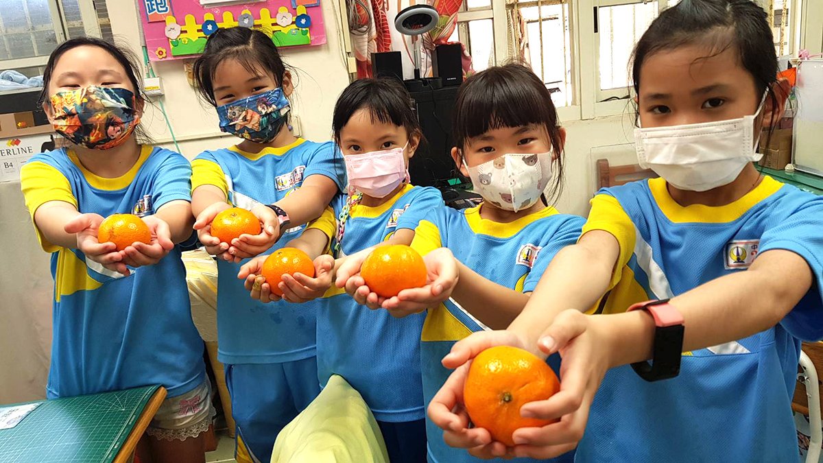 嘉惠中市33萬學童營養午餐 營養味甜茂谷柑送到校