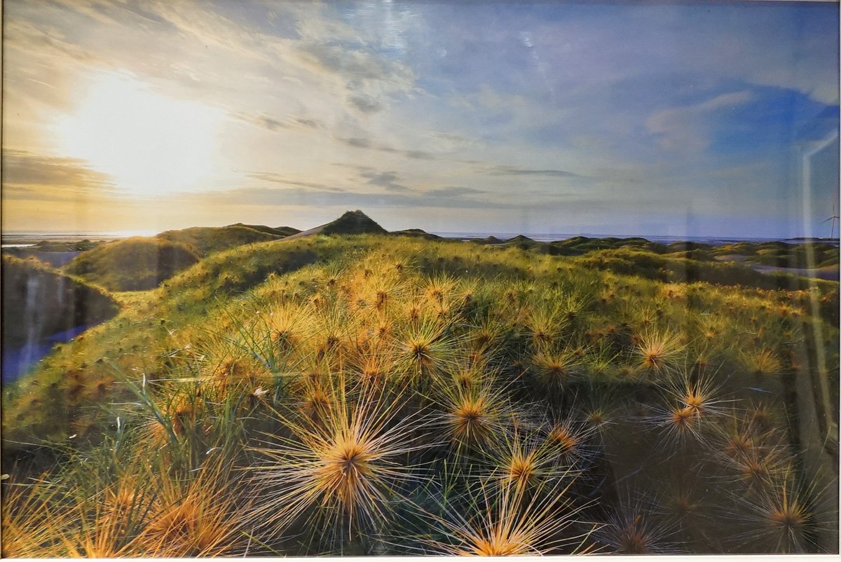 彰化縣藝術家學會聯展 30日在 公會堂舉辦會員聯展開幕式 2 DSC03677