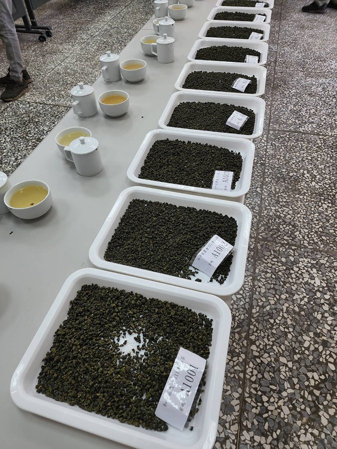 活動比賽茶葉品種以產自梨山地區的春季青心烏龍茶為主