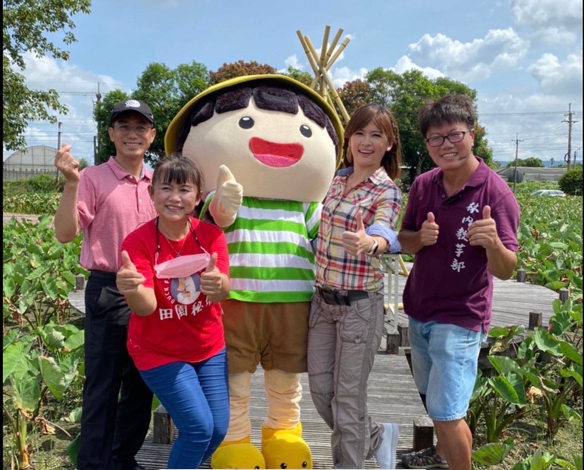 暑假去哪玩? 林內教芋部帶您跟著節氣GO GO GO下田採芋頭 4 S 97067043