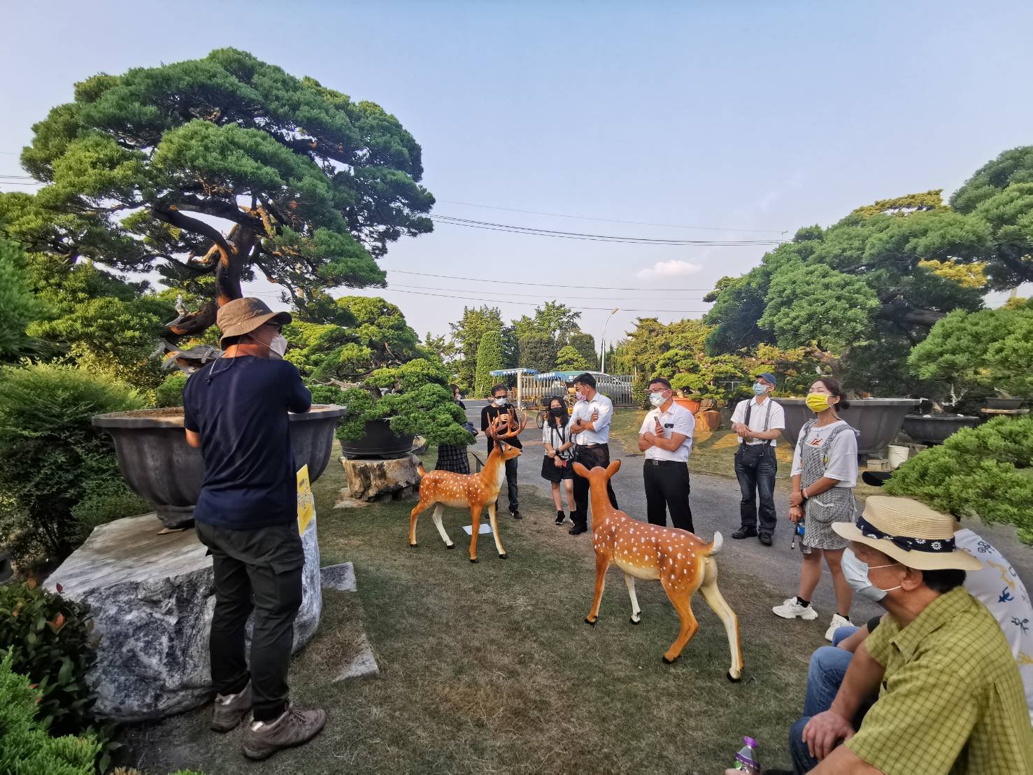 柏鄉園將名貴的真柏盆栽與梅花鹿模型搭配「百（柏）祿（鹿）之家」展區