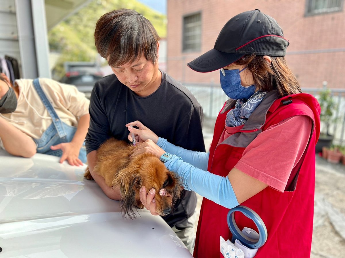 中市動保處深入梨山替犬貓施打疫苗及絕育 守護山區毛孩 3 犬貓施打疫苗