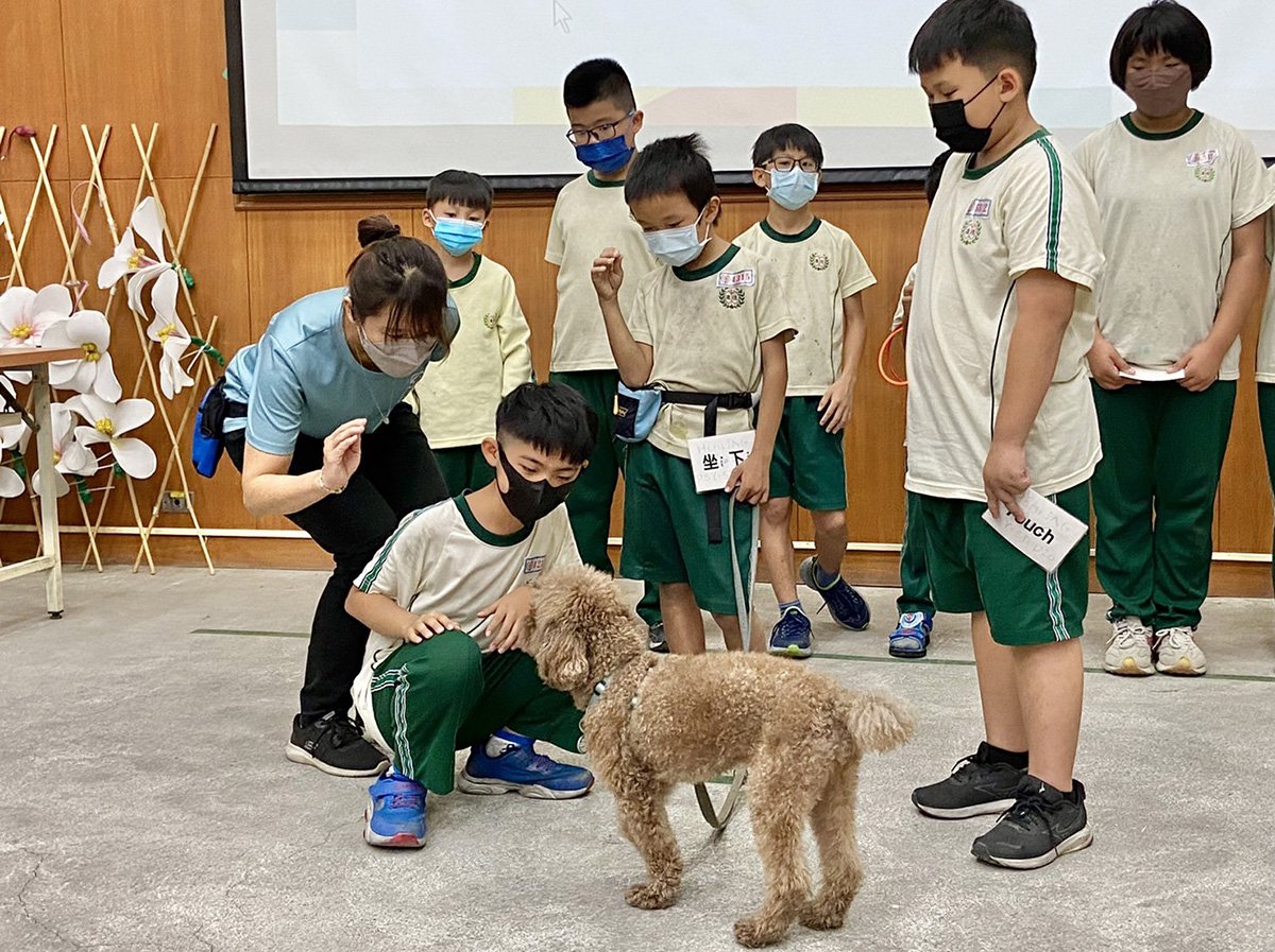台中動保深度教育圓滿落幕 療癒犬助教打開孩子心扉 1 經過幾週的磨合孩子們彼此更加熟識-療癒犬也愉快地融入團隊中