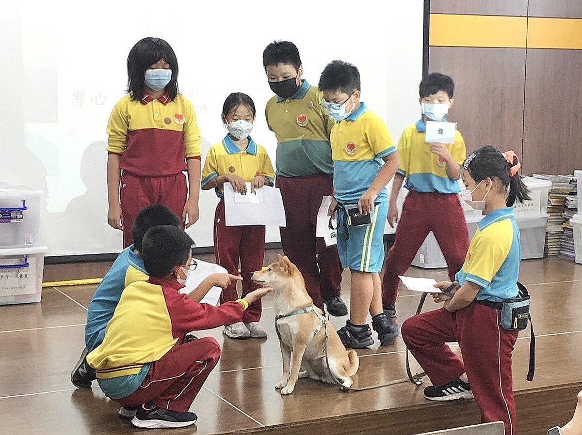 台中動保深度教育圓滿落幕 療癒犬助教打開孩子心扉
