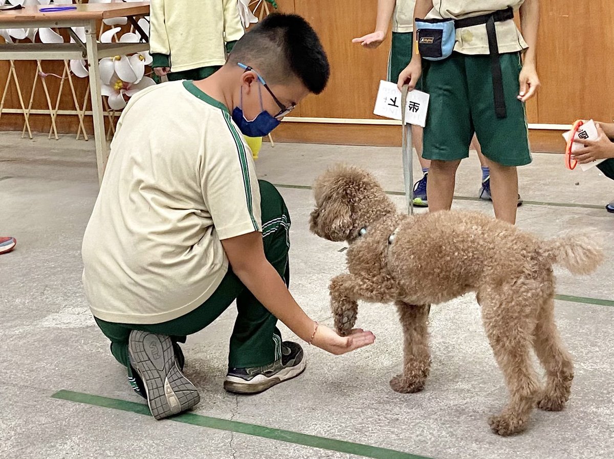 台中動保深度教育圓滿落幕 療癒犬助教打開孩子心扉 2 面對療癒犬及動物相關知識時-孩子們顯得相當專注-認真聽老師解釋怎麼和狗狗相處