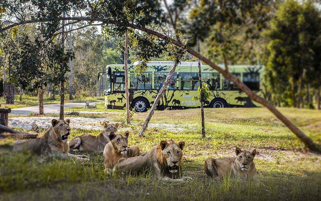 疫後最新旅遊熱點 啟動不一樣的越式假期! 4 珍珠野生動物園-皇茶旅行社提供