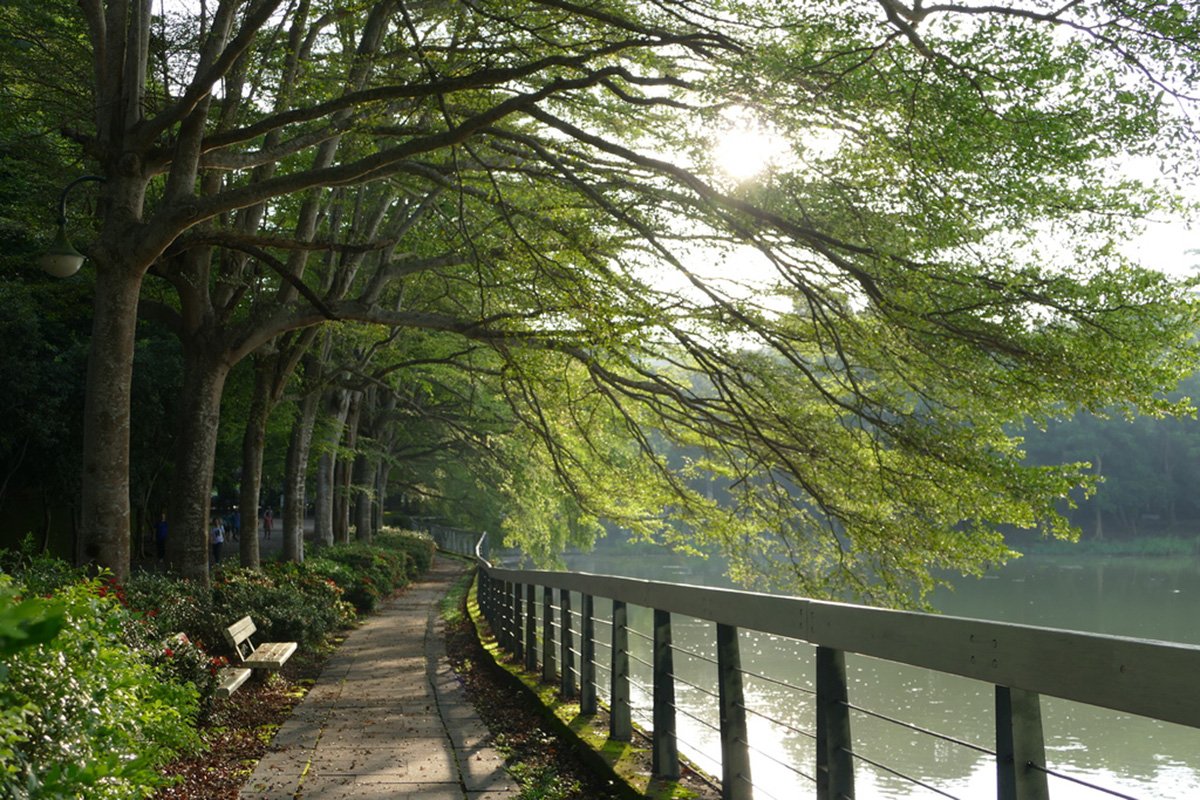 虎頭埤湖濱步道