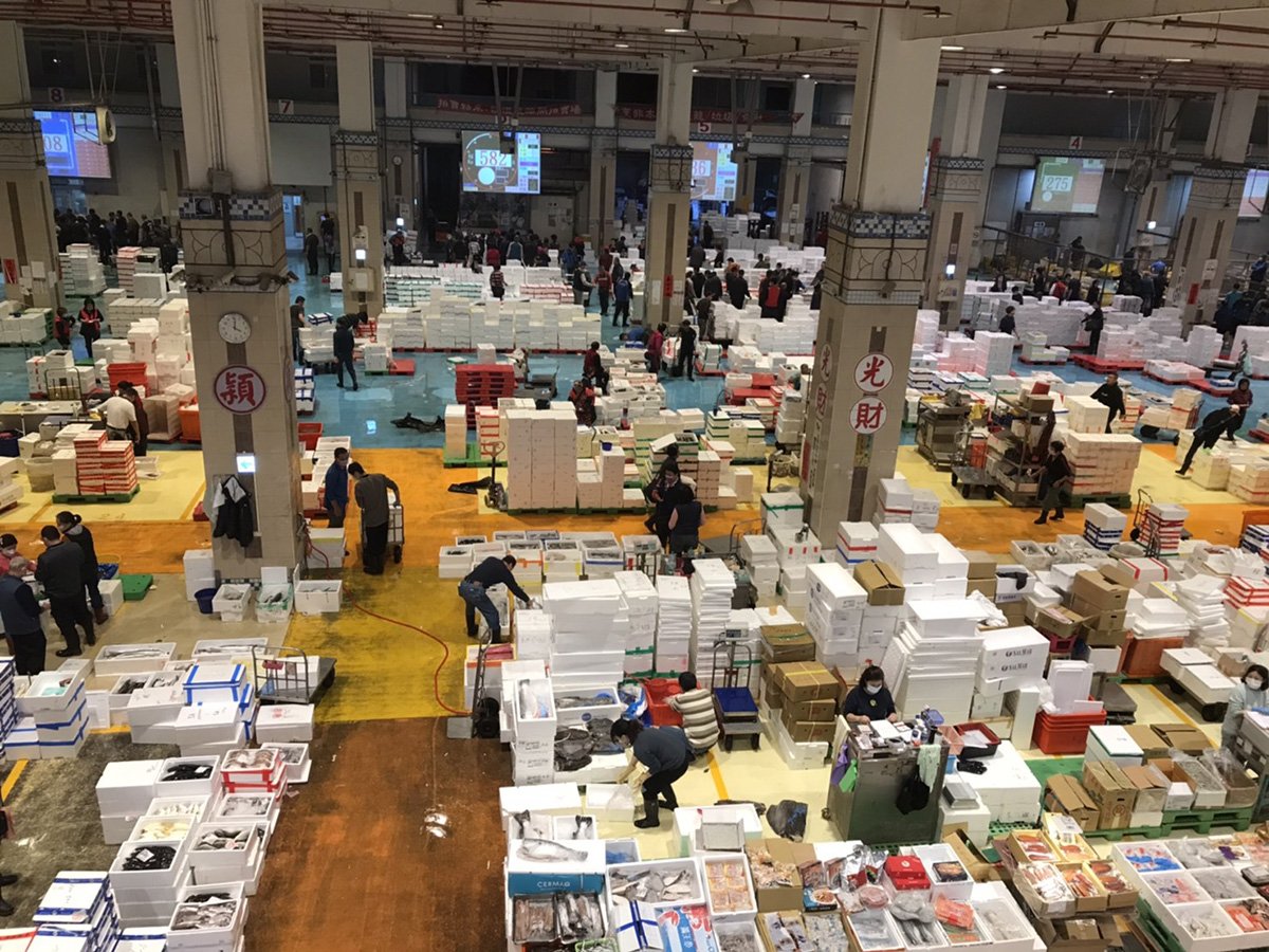 春節前視察魚市、果菜市場 盧秀燕邀市民多採購支持 3 魚市場交易狀況良好