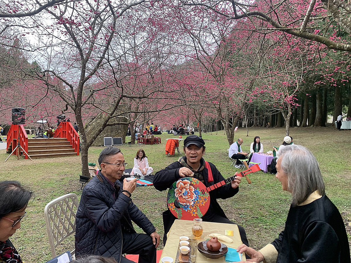 九族櫻花祭首場茶會 小小茶師12年後化身妙齡茶師續茶緣 1 南投九族櫻花祭第一場櫻花茶會於2/10日在盛開的櫻花林中舉行