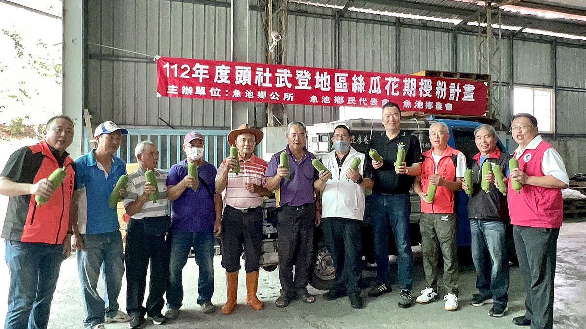 頭社絲瓜園放置25箱蜜蜂 黃金花海授粉提高菜瓜產量 3 S 109494295