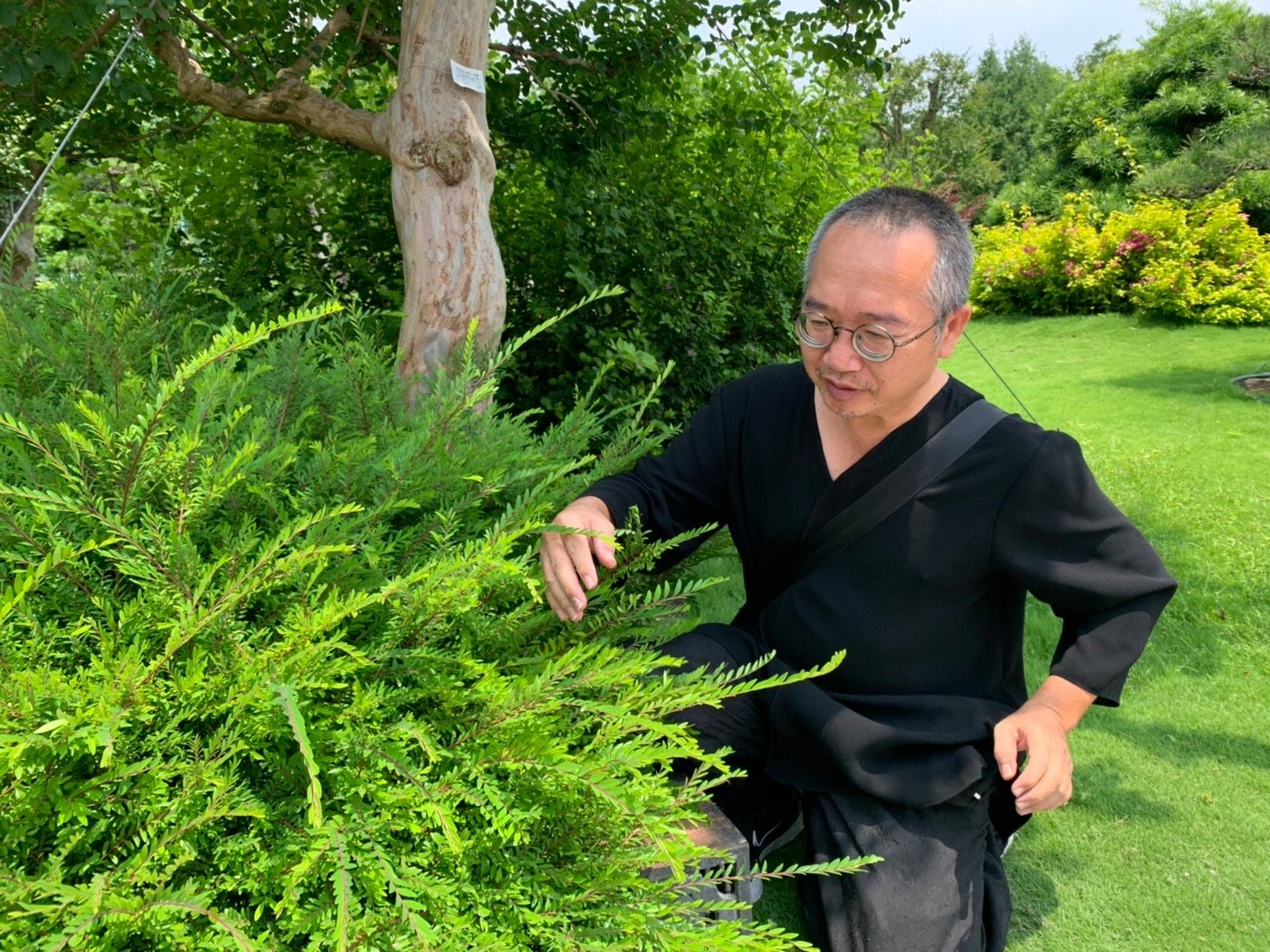 水墨大師陳正隆在成美文化園內撿取枝葉作畫