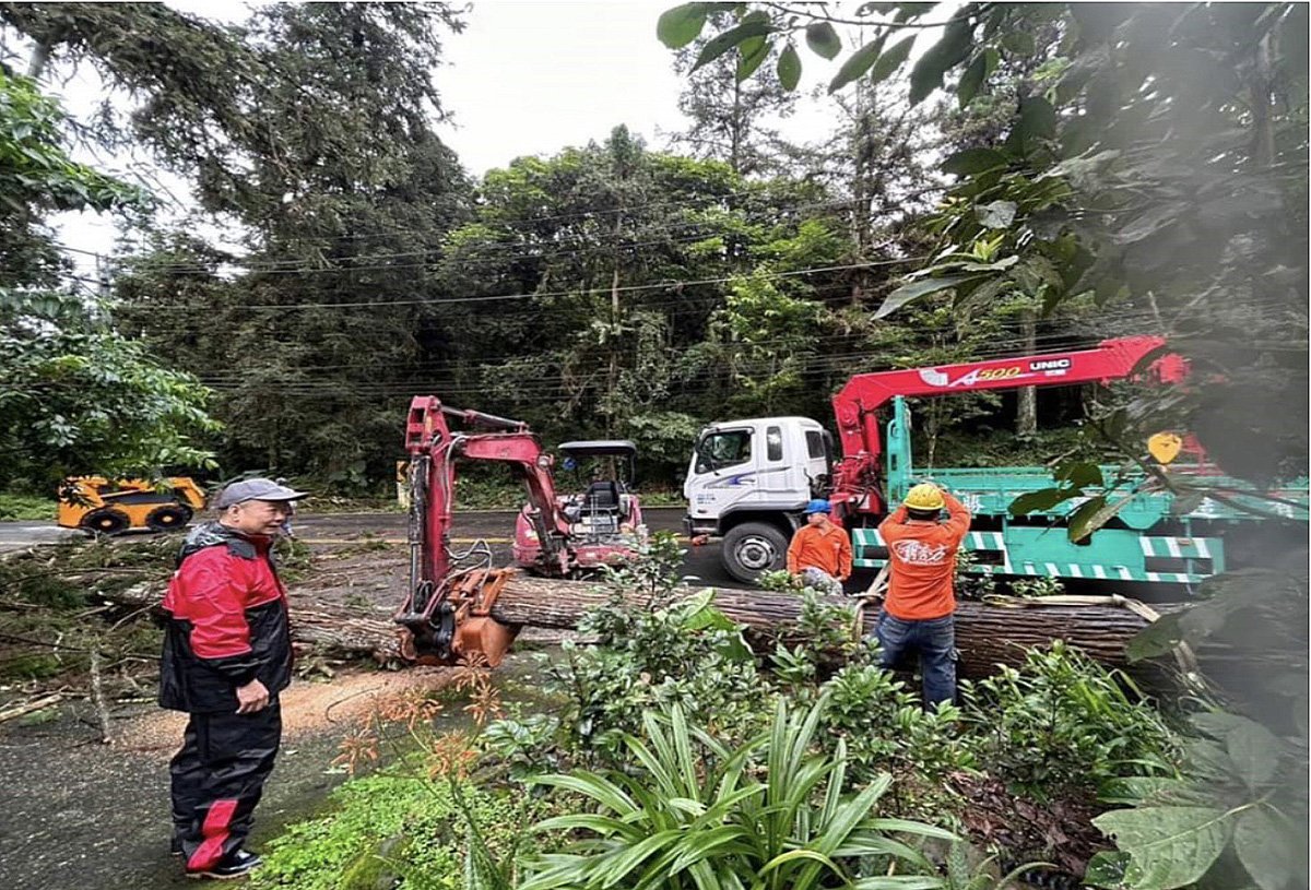 連日大雨致延溪公路路樹倒塌，員警架路障避免民眾危害