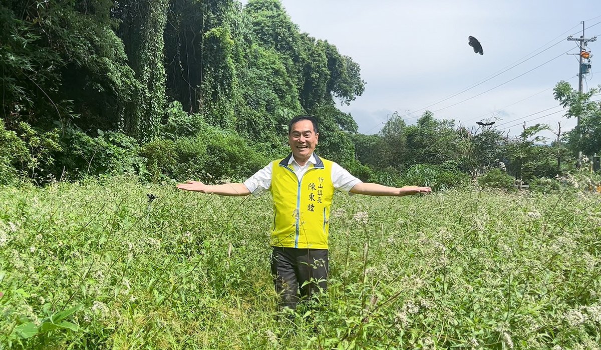 竹山下坪吊橋復育有成 紫斑蝶翩翩飛舞 2 S 4292714