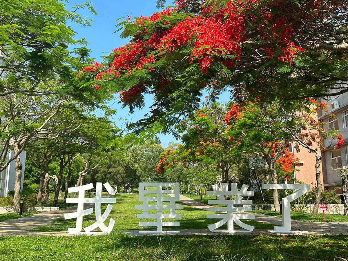 寶文校區景觀大道曾獲選全台最美十大鳯鳳花景點