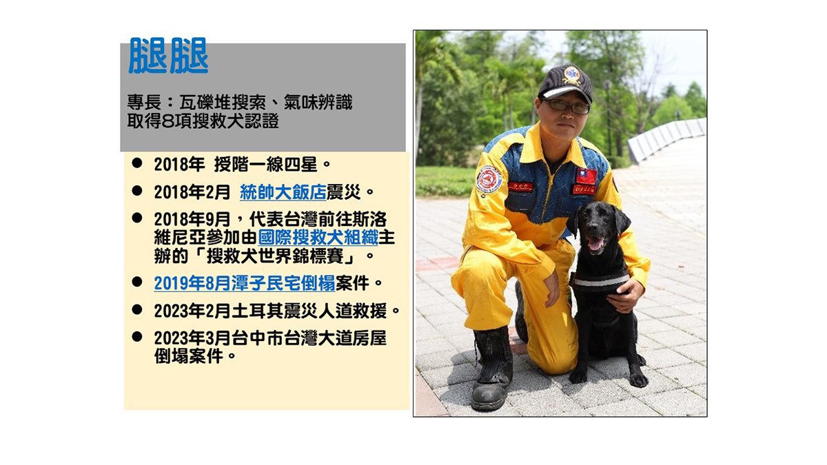 搜救犬英雄鐵雄、腿腿光榮退役 消防局長感謝為救災貢獻 3 搜救犬腿腿