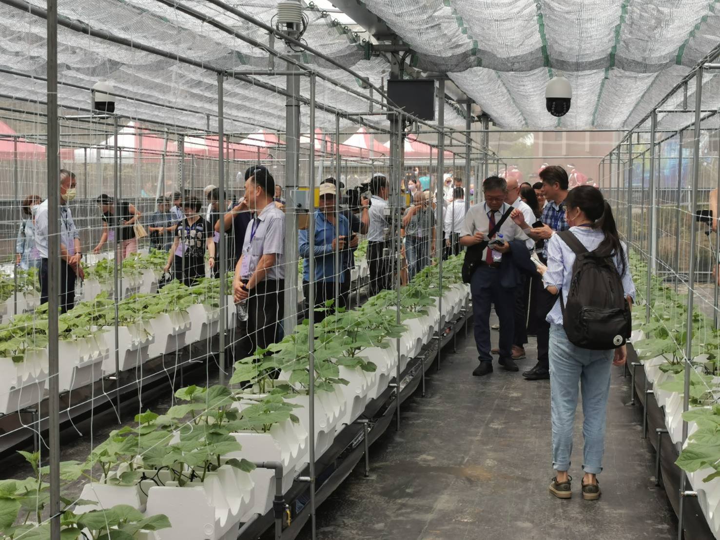 貴賓參觀光華高工智慧溫室示範基地。（葉志雲攝