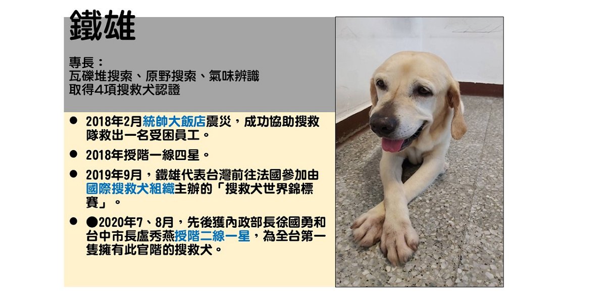 搜救犬英雄鐵雄、腿腿光榮退役 消防局長感謝為救災貢獻 1 除役的搜救犬-不但通過多項搜救犬認證測驗-而且參與多場大型震災搜救
