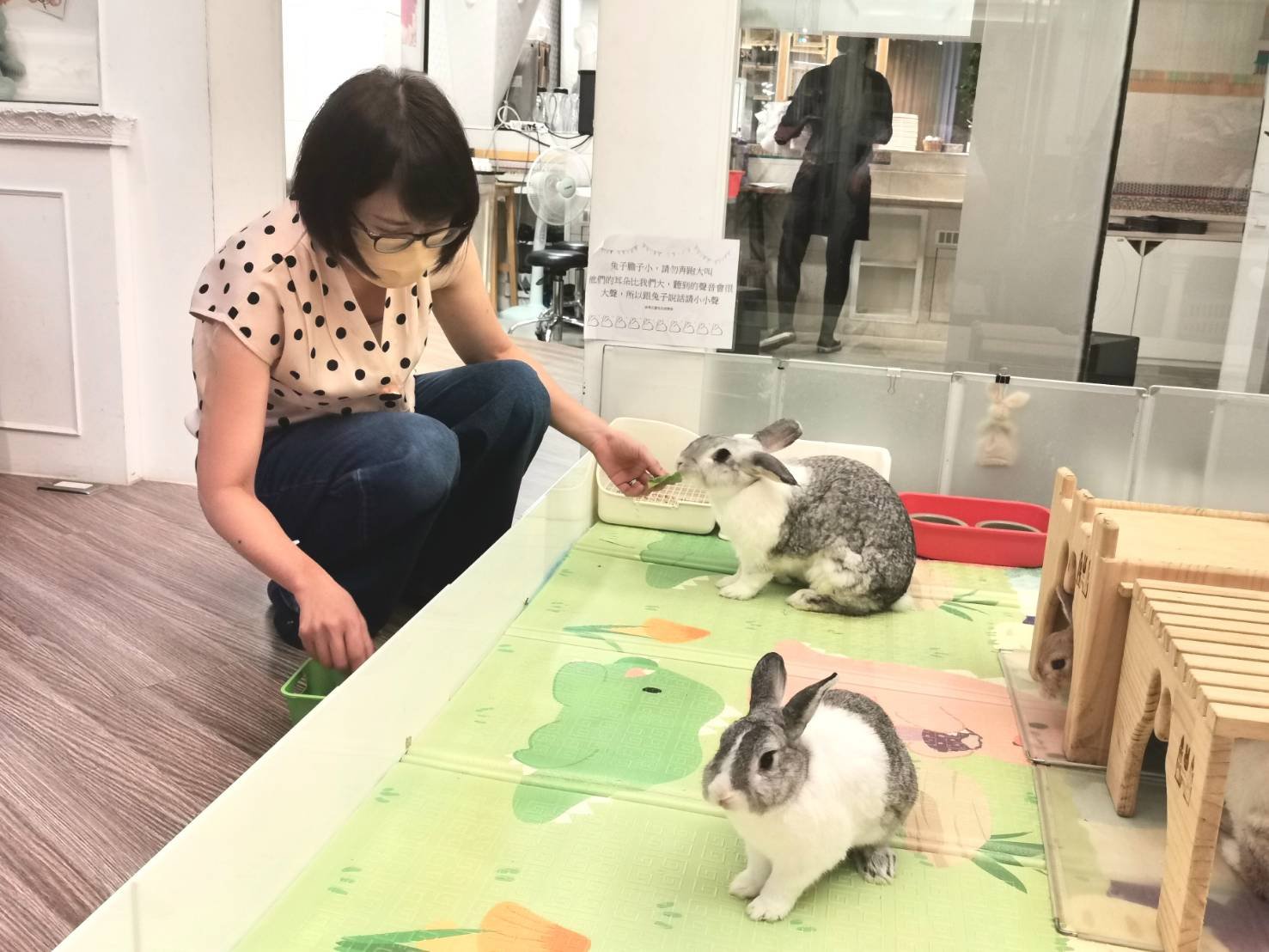 綠萼159飼養的兔兔可供用餐的大小朋友餵食。（葉志雲攝）