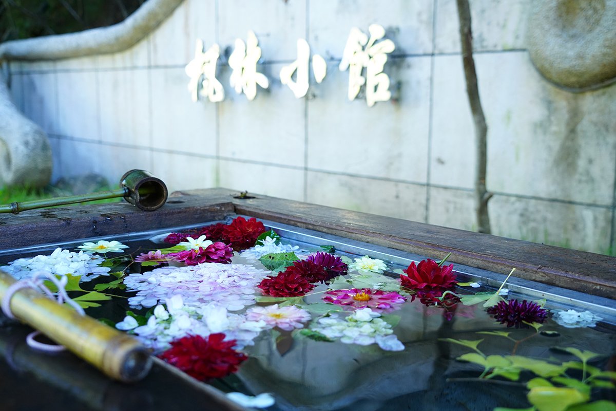 全國首創「花手水」體驗 武陵農場融合自然美學與地景藝術 3 DSC00125 0