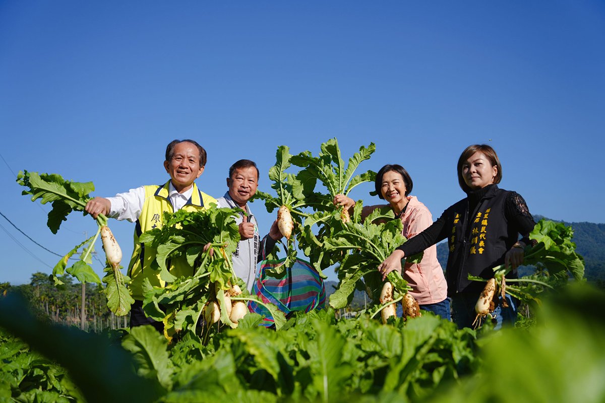 嘿呦嘿呦拔蘿蔔 千人共同體驗農田樂