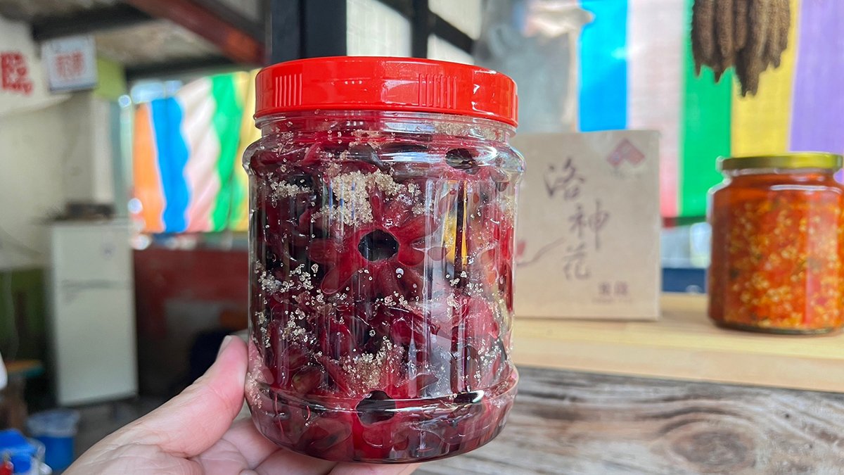 台東縣金峰鄉翻轉南迴部落亮點輕旅遊 踩線團探索原始風情、品味部落文化、享受溫泉饗宴 7 S 113295368 0