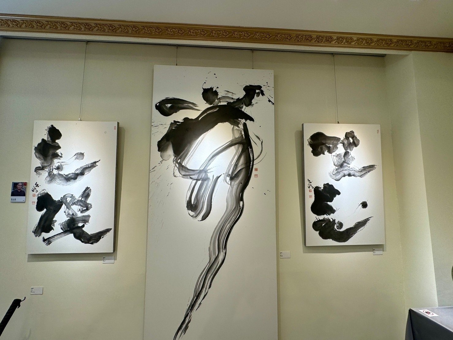 ART365美術館開幕展出張志鴻作品。（葉志雲攝）