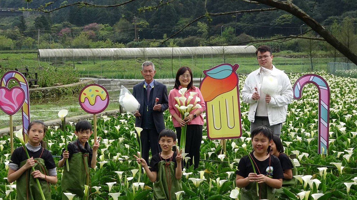 臺北市林奕華副市長出席「竹子湖海芋季」開幕活動