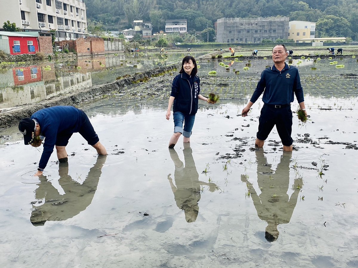 農業局黃春滿專門委員與貴賓一同下田親自體驗插秧