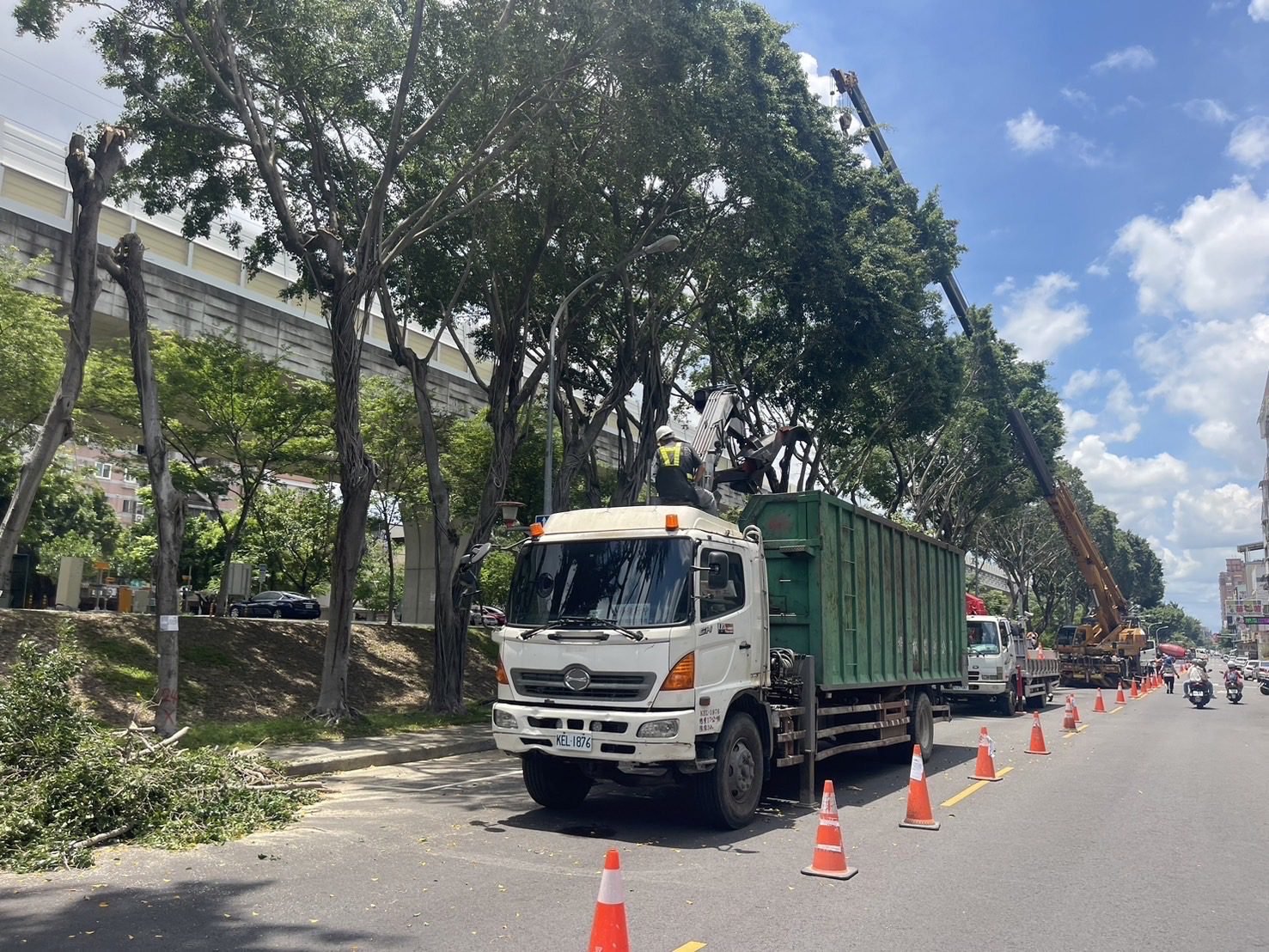 揪出危木! 中市推樹木健診守護市民生命財產安全 1 03 移除過程發現樹木盤根錯節 建設局先保留樹頭 並設置圍籬 後續再進行整體改善