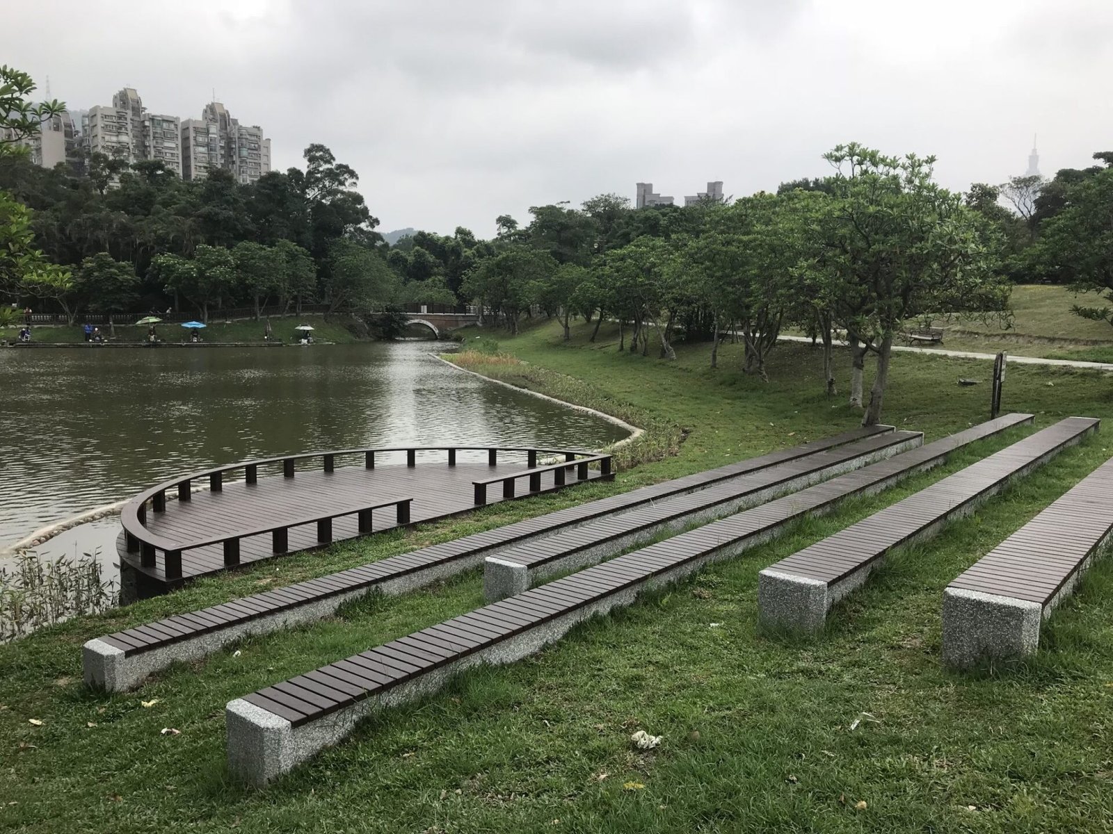 海檬果白花盛放　南港公園山水映襯如詩如畫