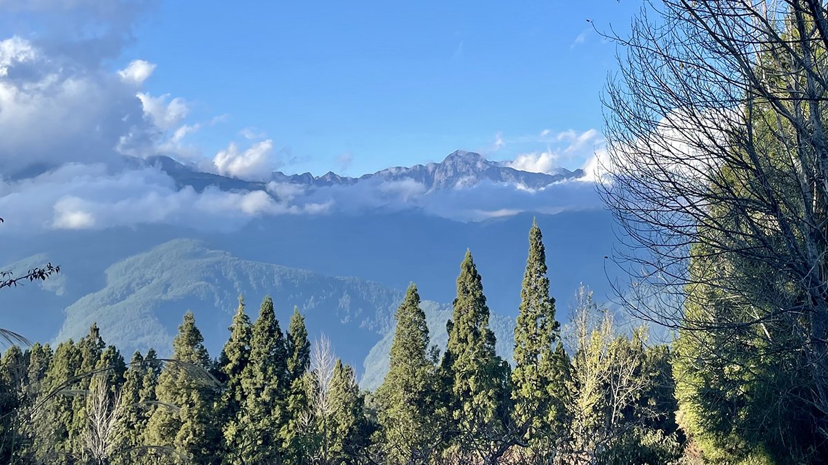 目前大梨山繁花盛開、風景優美