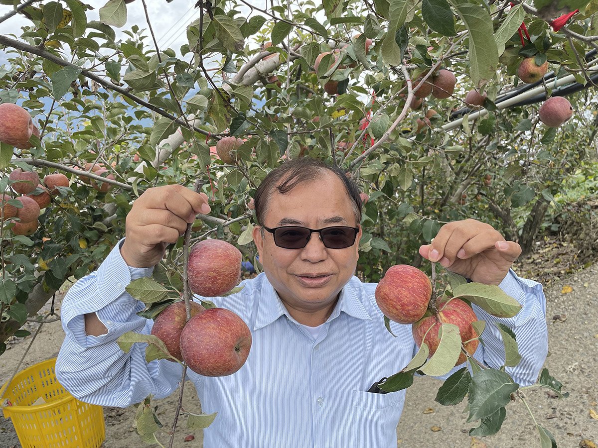 梨山正當時 水果產季揭開序幕