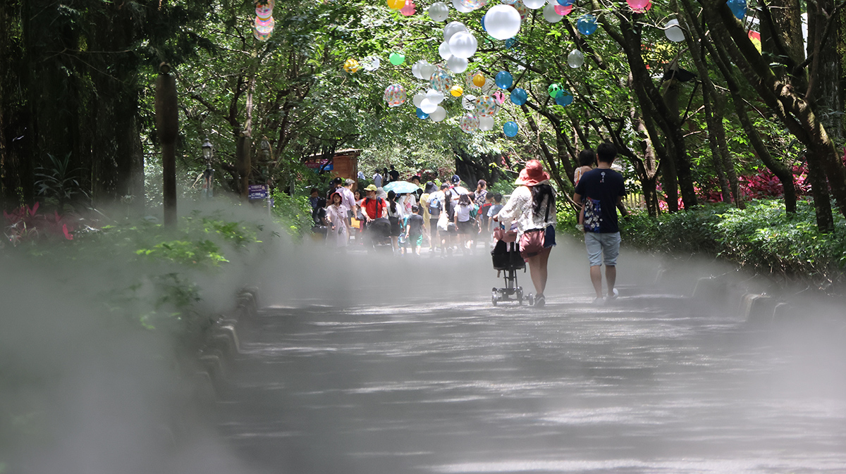 遊客可以在水霧瀰漫的森林樂園中享受各種消暑樂趣。